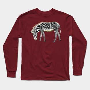 Be A Zebra Long Sleeve T-Shirt